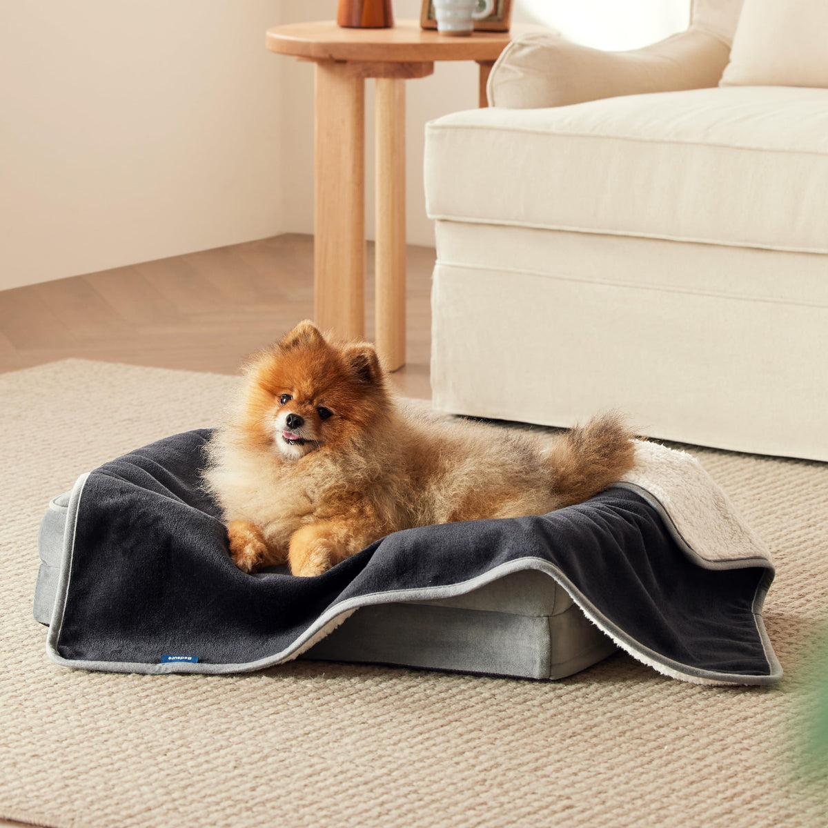 Bedsure manta impermeable para gatos con Sherpa; ideal para uso diario y confort felino.