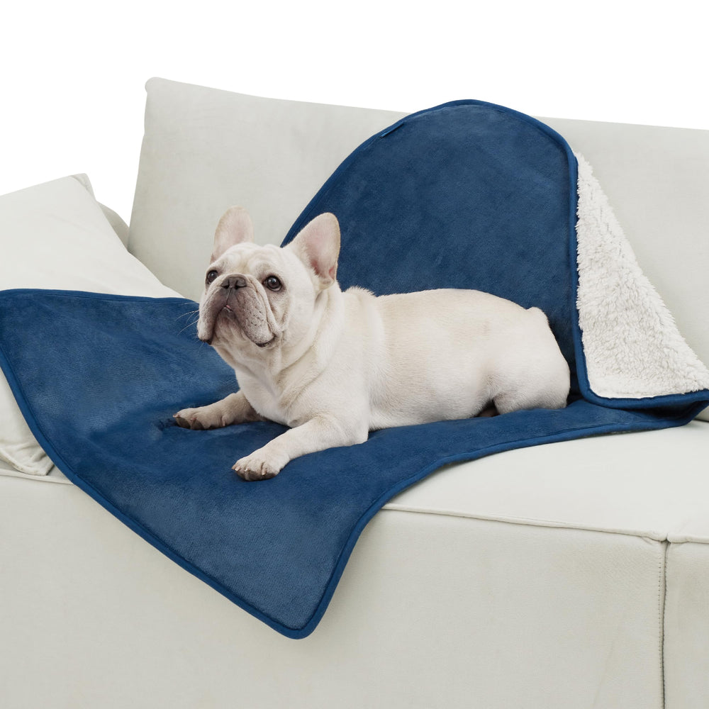 Bedsure manta gato impermeable salón, protege el sofá ante derrames.