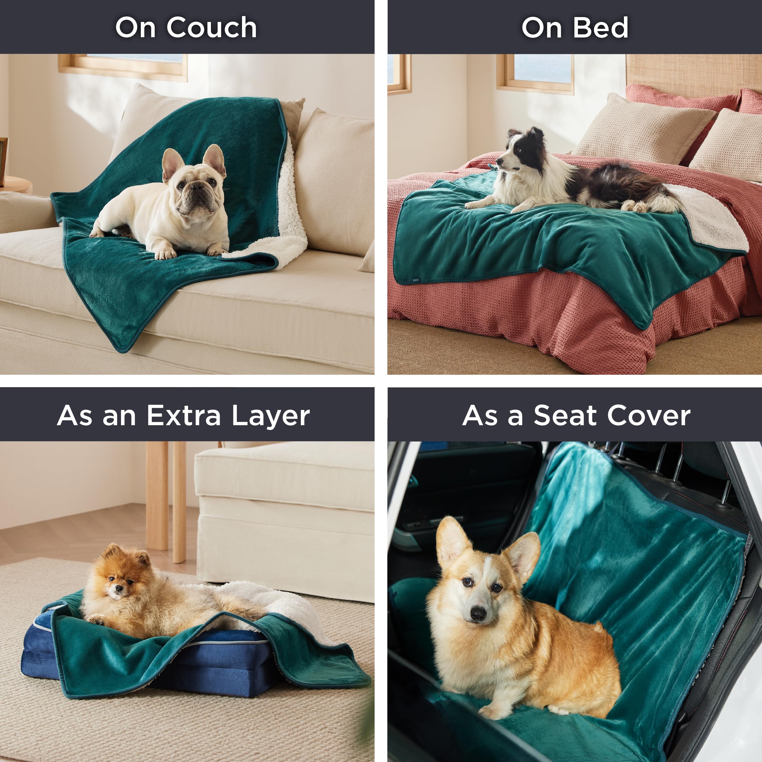Bedsure manta portátil para gato, perfecta para viajes y salidas.