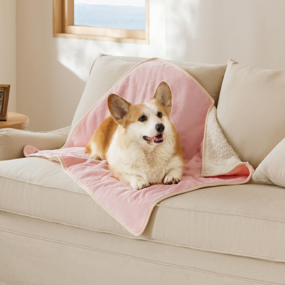Bedsure manta para gatos impermeable en el salón protege muebles