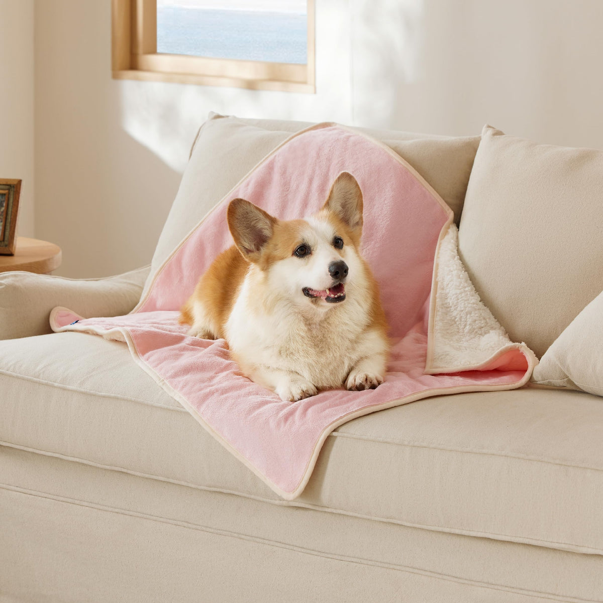 Bedsure manta para gatos impermeable en el salón protege muebles