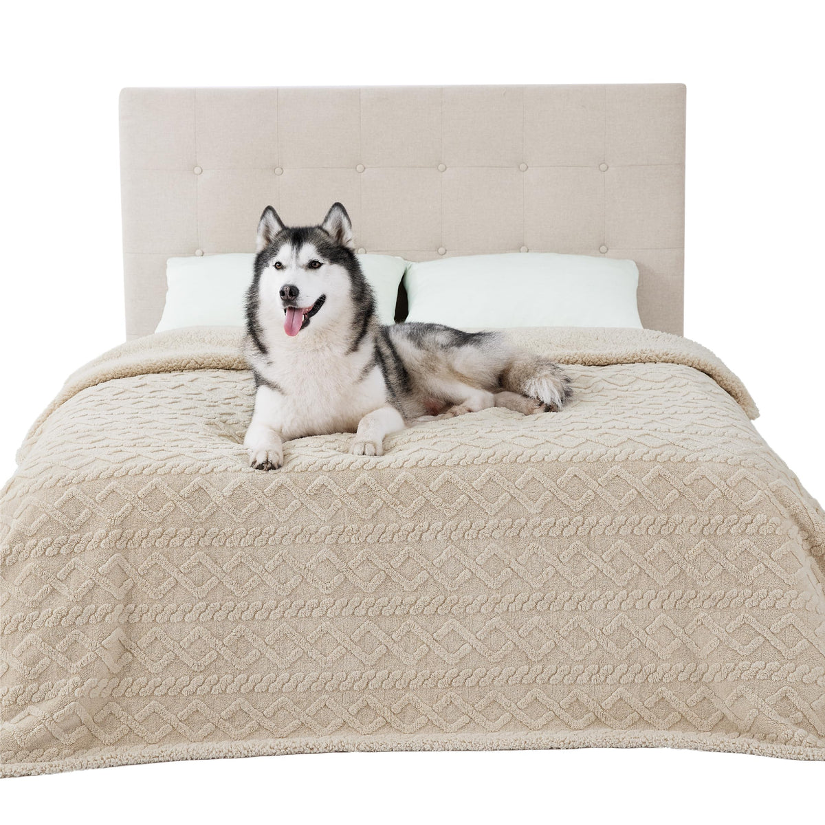 Bedsure manta impermeable para cama protege muebles y mantiene a la mascota seca