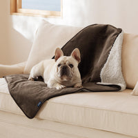 Bedsure manta impermeable para perros medianos protege el sofá con tapicería café