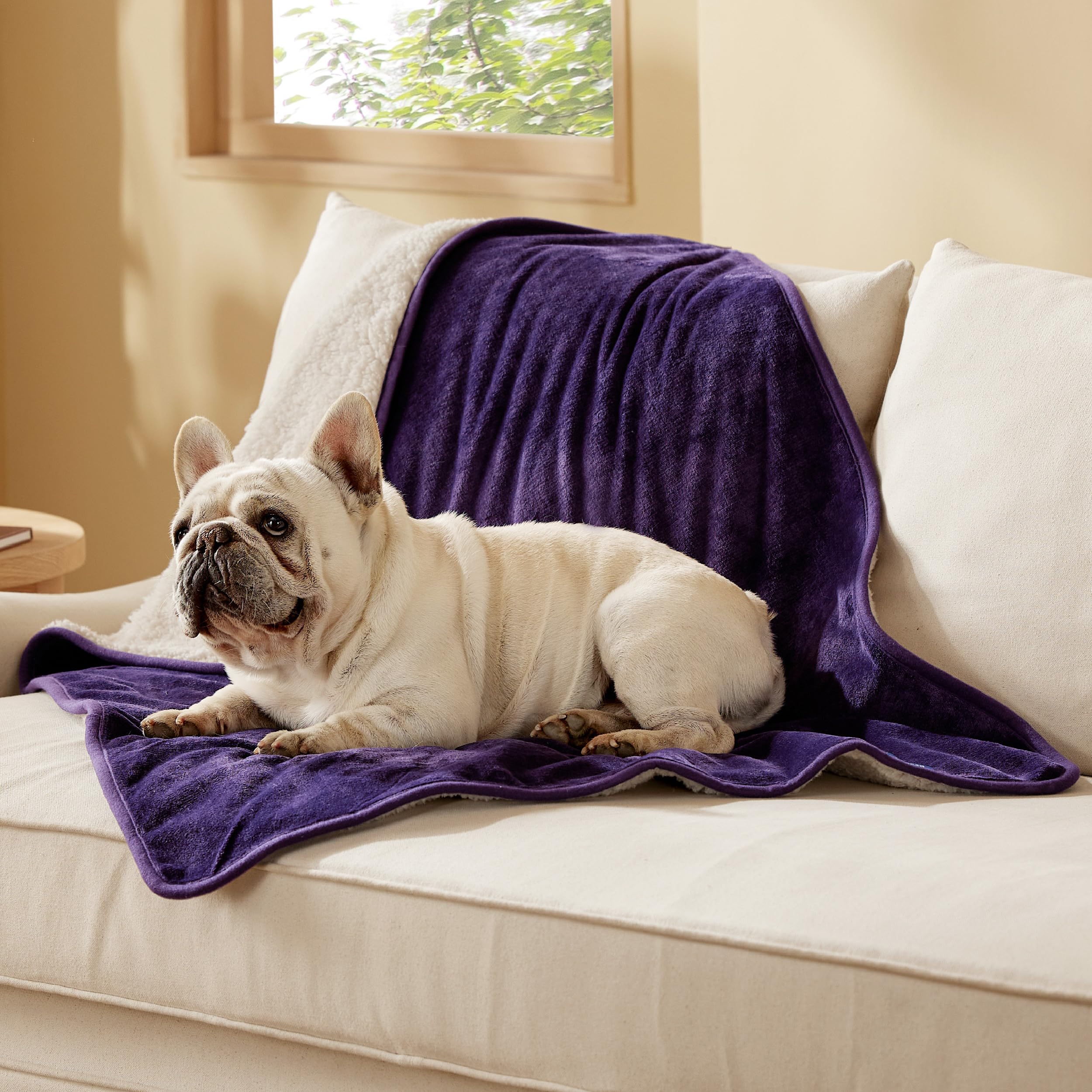 Bedsure manta impermeable para perros medianos, protección de muebles en berenjena
