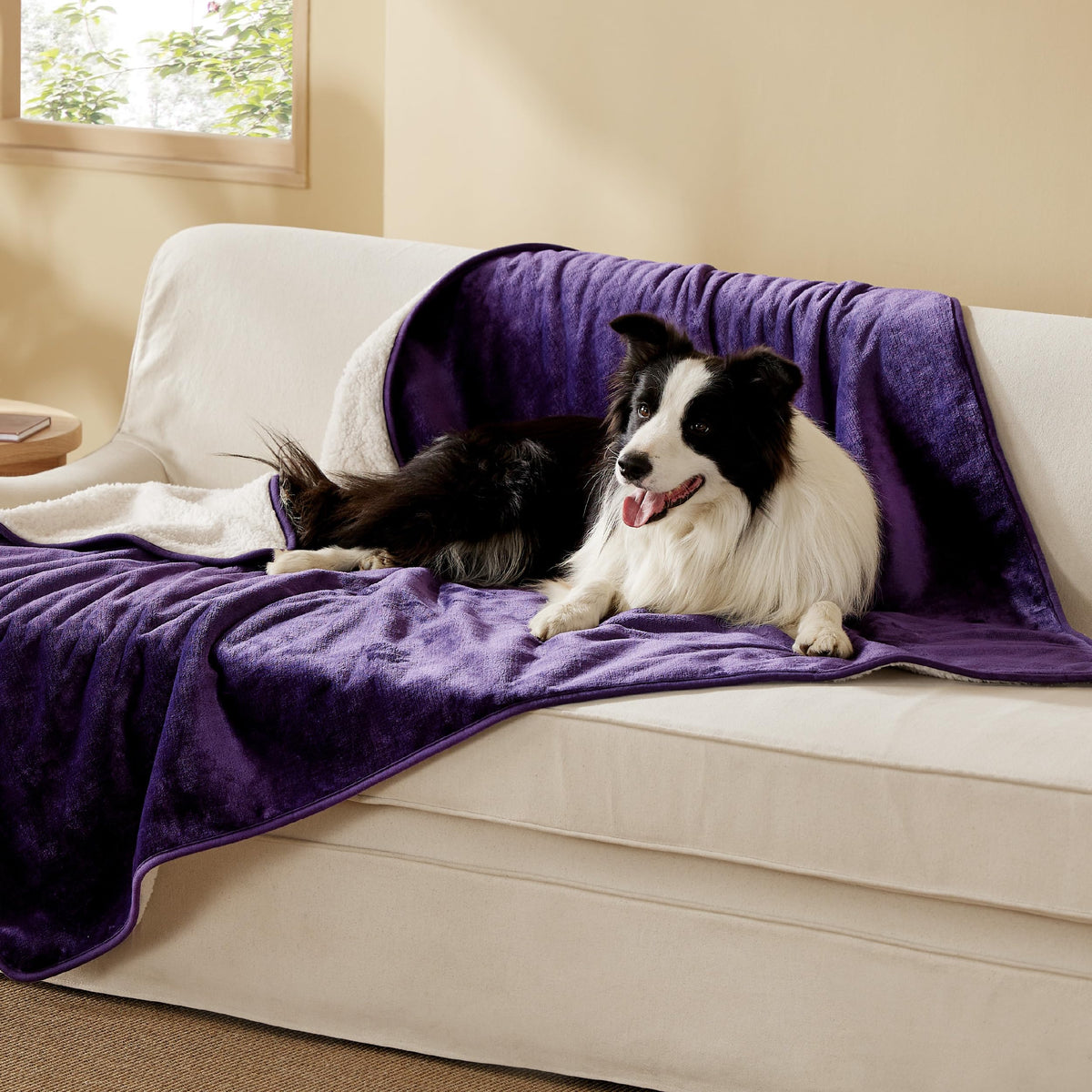 Bedsure manta perro XL berenjena con sherpa reversible para mayor confort en casa.