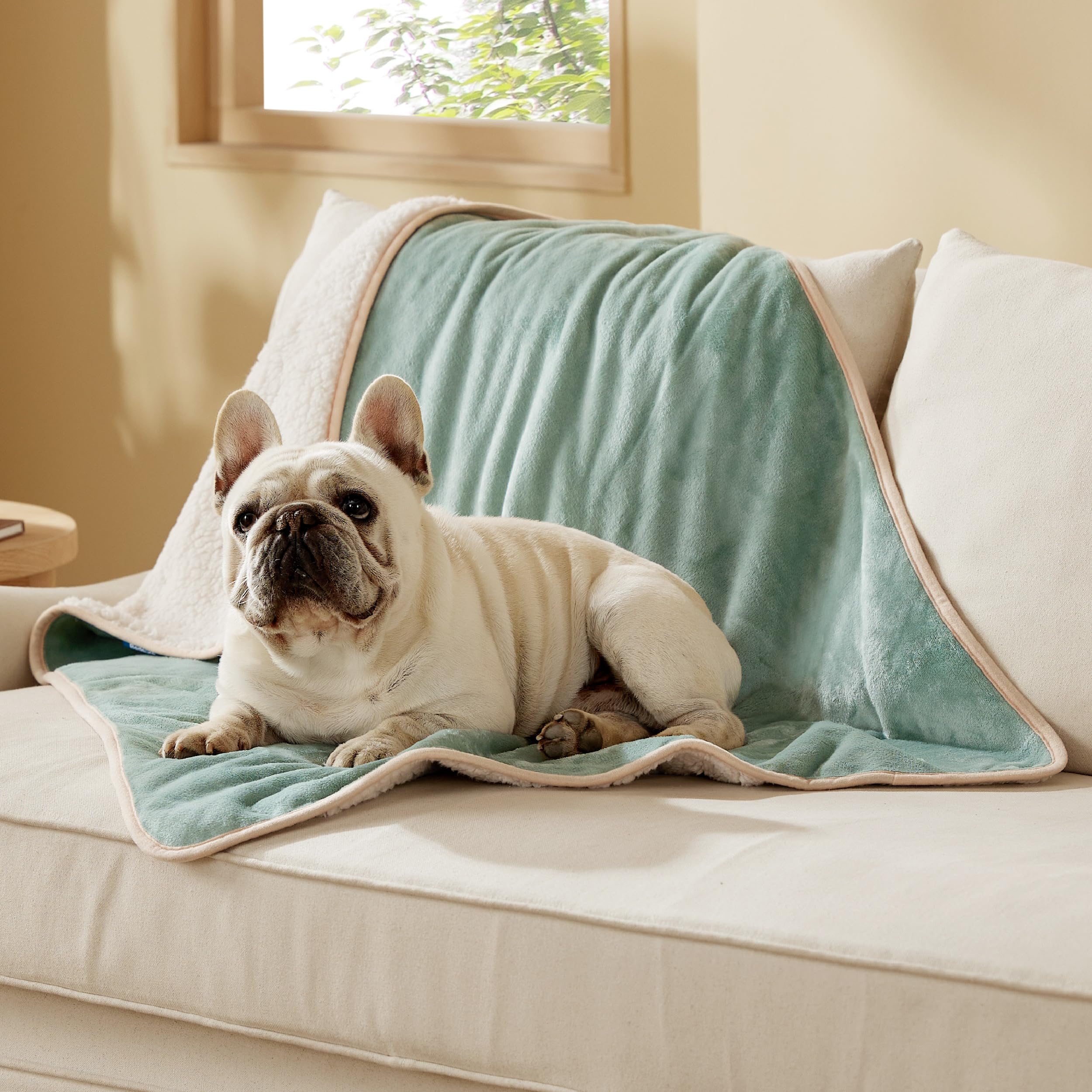 Bedsure manta para perros impermeable con Sherpa, ideal para mantener seco el sofá y cómodo a tu mascota