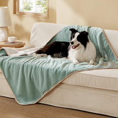 Bedsure manta para perros impermeable verde claro protege el sofá.