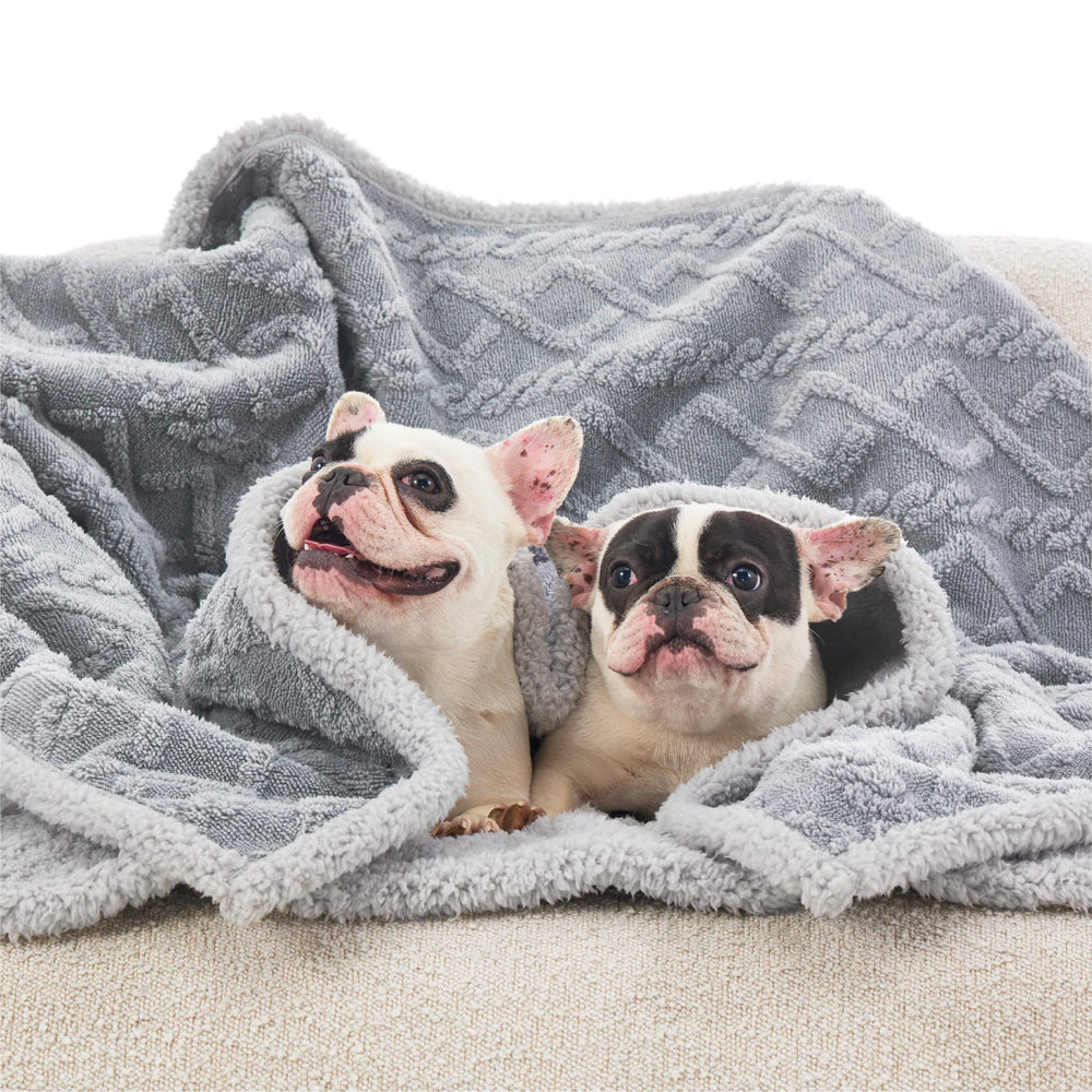 Bedsure manta para usos interiores y exteriores mantiene a tu mascota cómoda en casa o al aire libre.