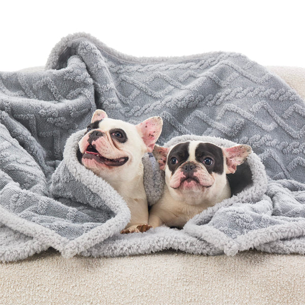 Bedsure manta para usos interiores y exteriores mantiene a tu mascota cómoda en casa o al aire libre.