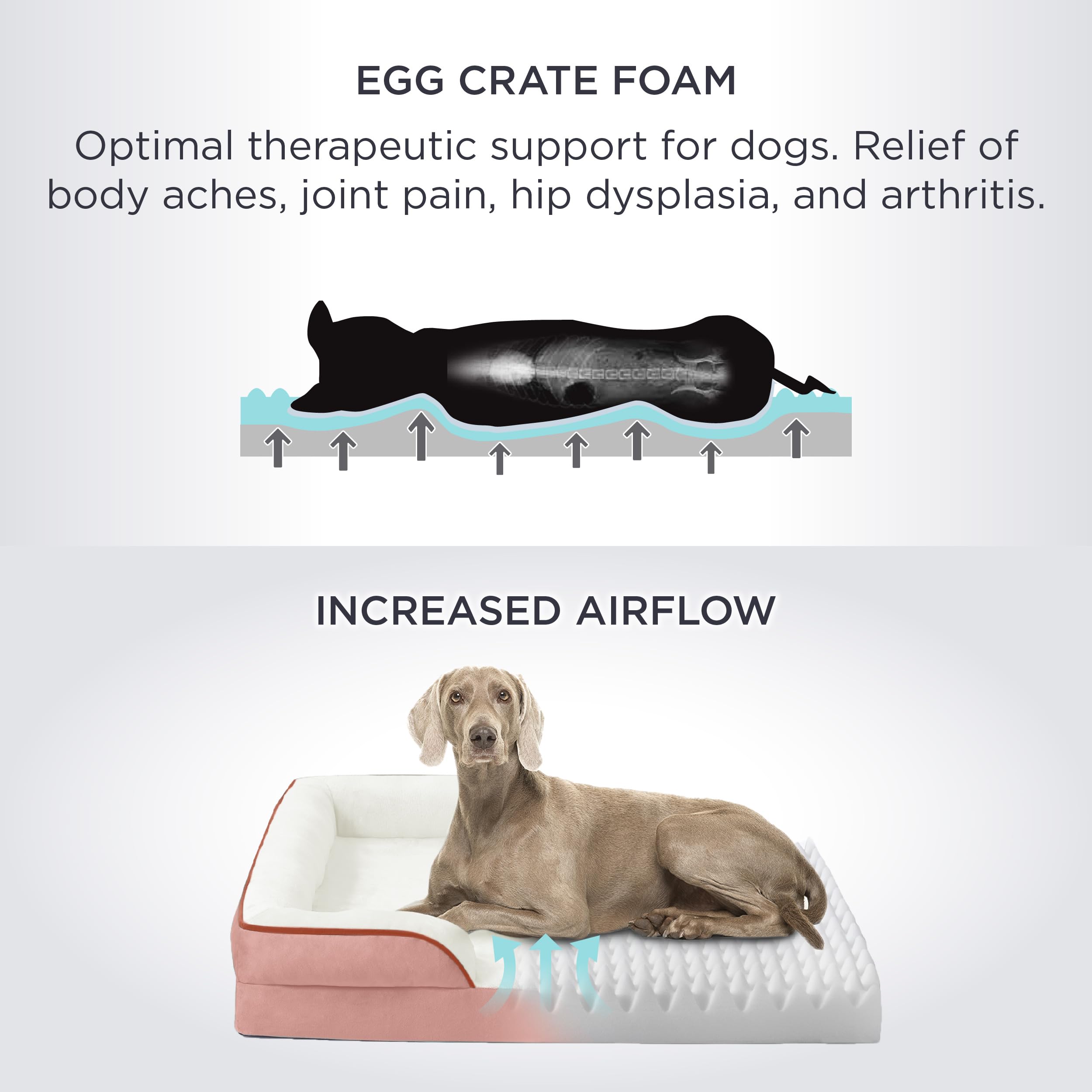 Bedsure base antideslizante, cama para perros con base estable y sin resbalones.