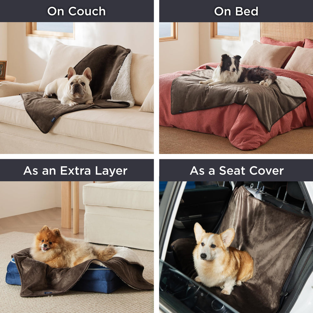 Bedsure manta 25x35 perfecta para perros pequeños y gatos.