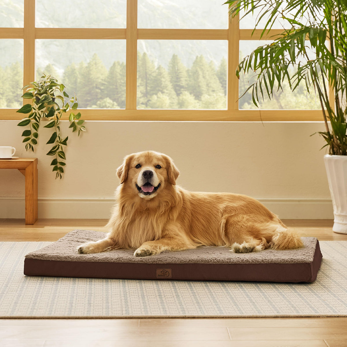 Bedsure XL cama para perro con espuma en panal, alivio articular y descanso profundo.
