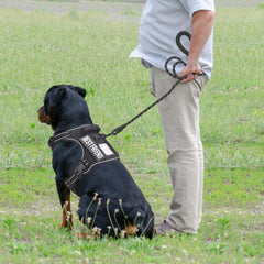 Arnés Beebiepet con diseño resistente y bolsillos compatibles Molle