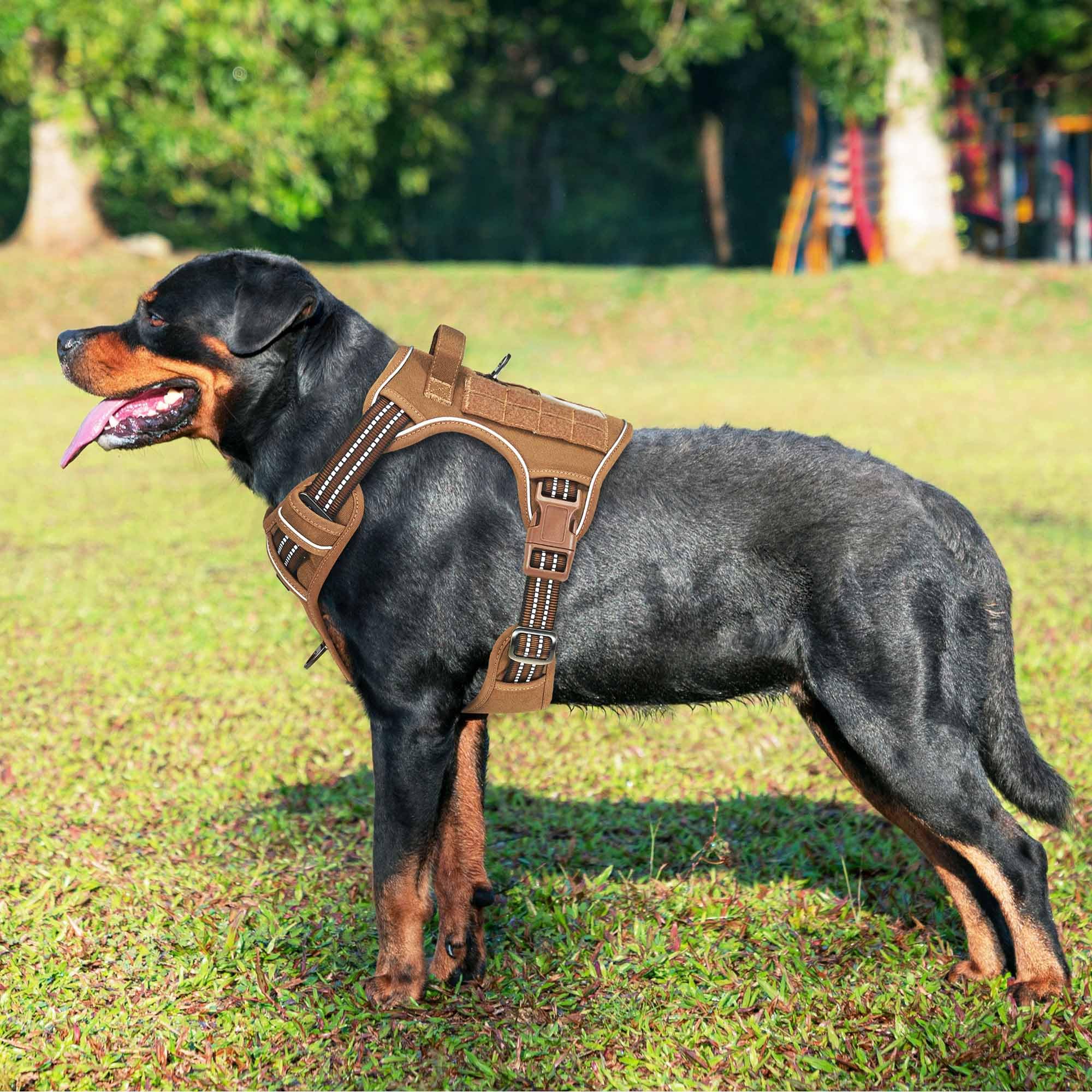 Beebiepet arnés táctico con ajuste de cuatro puntos para vestirse fácil y cómodo