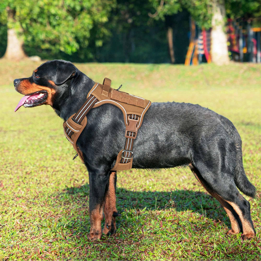 Beebiepet arnés táctico con ajuste de cuatro puntos para vestirse fácil y cómodo