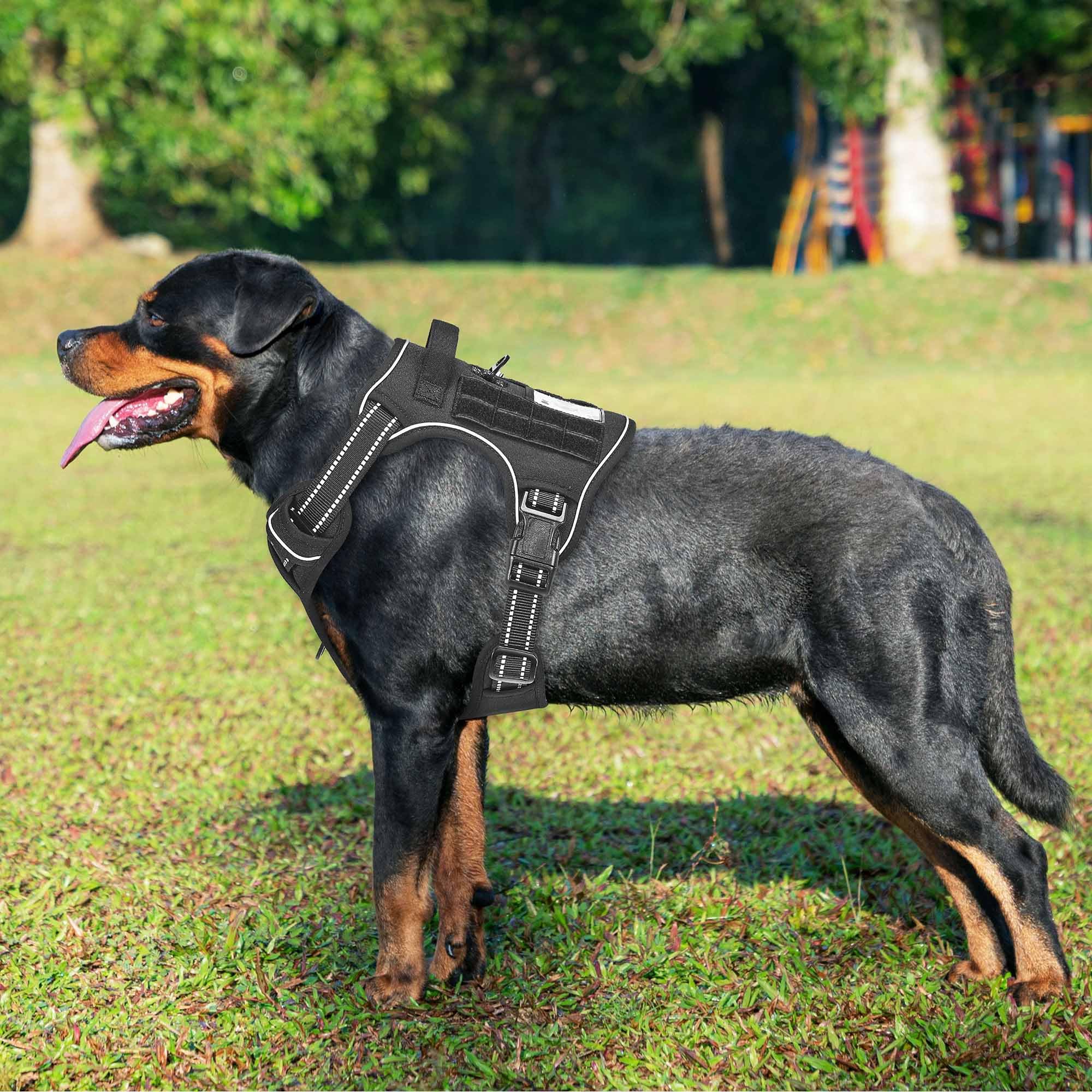 Beebiepet arnés con sistema Molle para equipo esencial durante entrenamientos