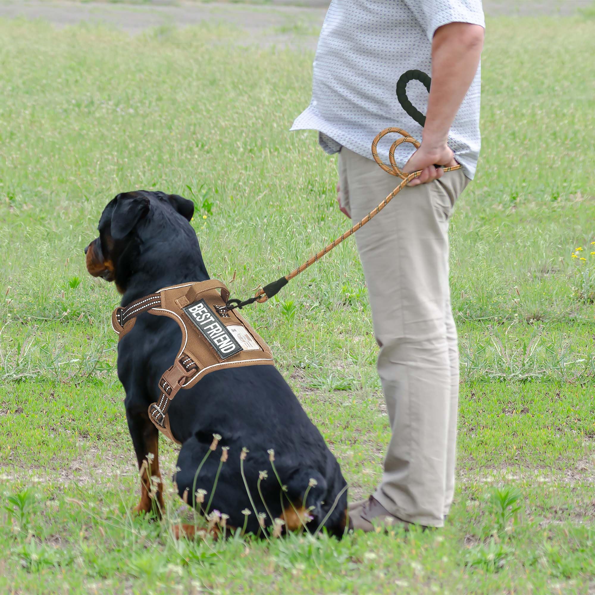 Beebiepet arnés táctico con sistema Molle para llevar equipo adicional