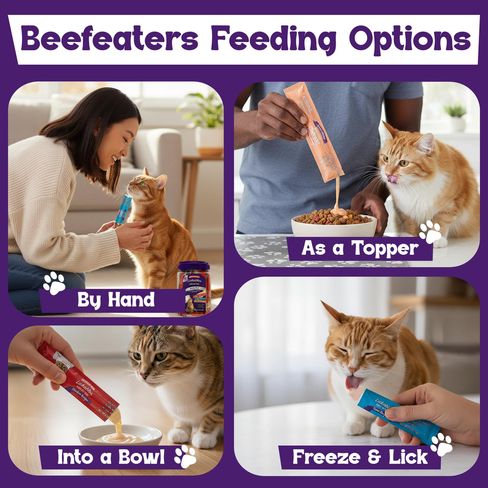Beefeaters envase hermético pollo: fácil de usar en entrenamiento.