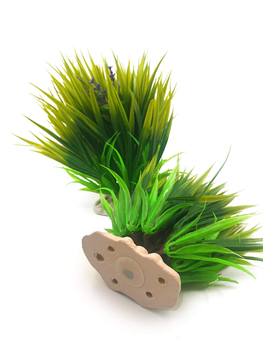 BEGONDIS plantas acuario verdes seda: tamaño realista 25 x 23 cm.