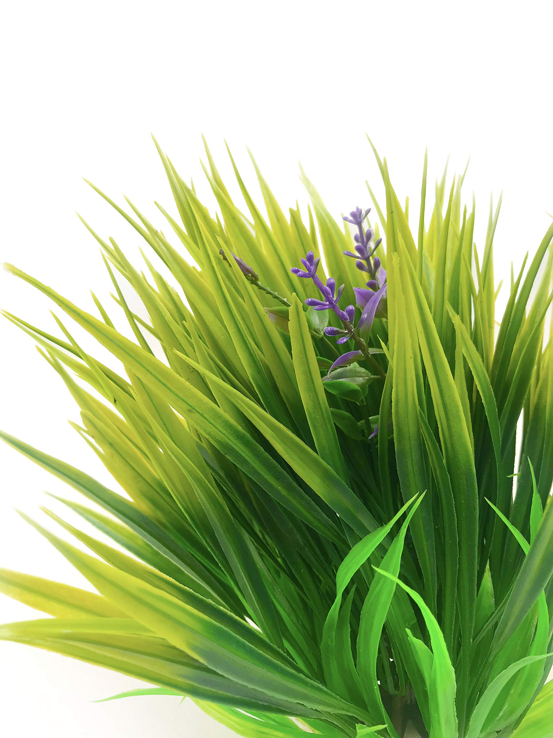 BEGONDIS plantas acuario verdes hojas: entorno natural para nadar y esconderse.