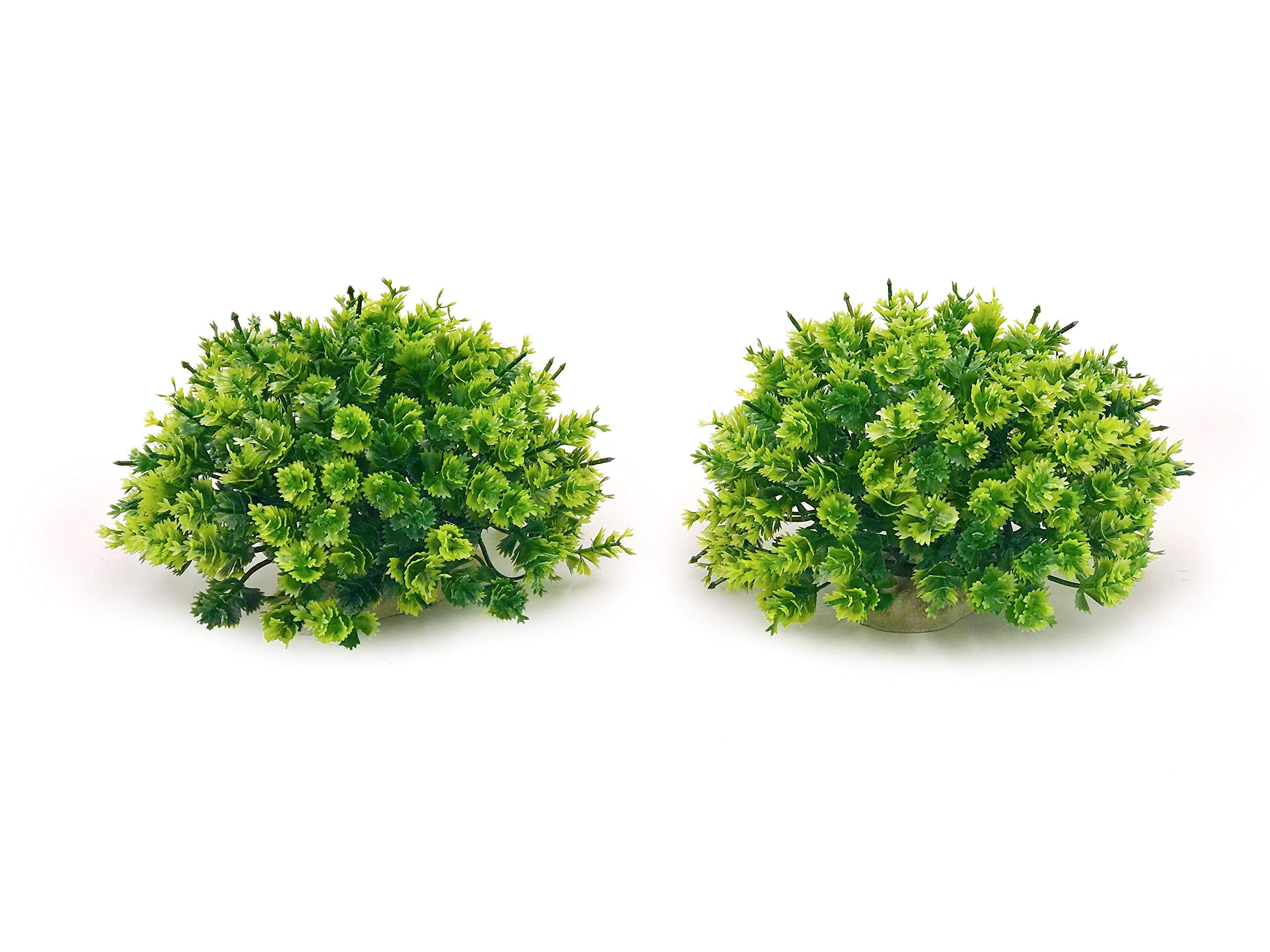 BEGONDIS plantas de acuario verdes suaves, dos piezas, ideal para refugio de peces