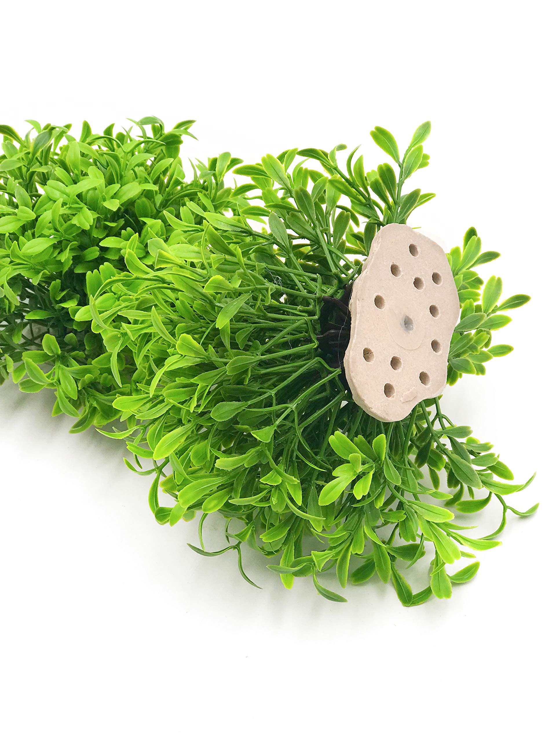BEGONDIS plantas artificiales, aptas para agua dulce y salada, decoración versátil