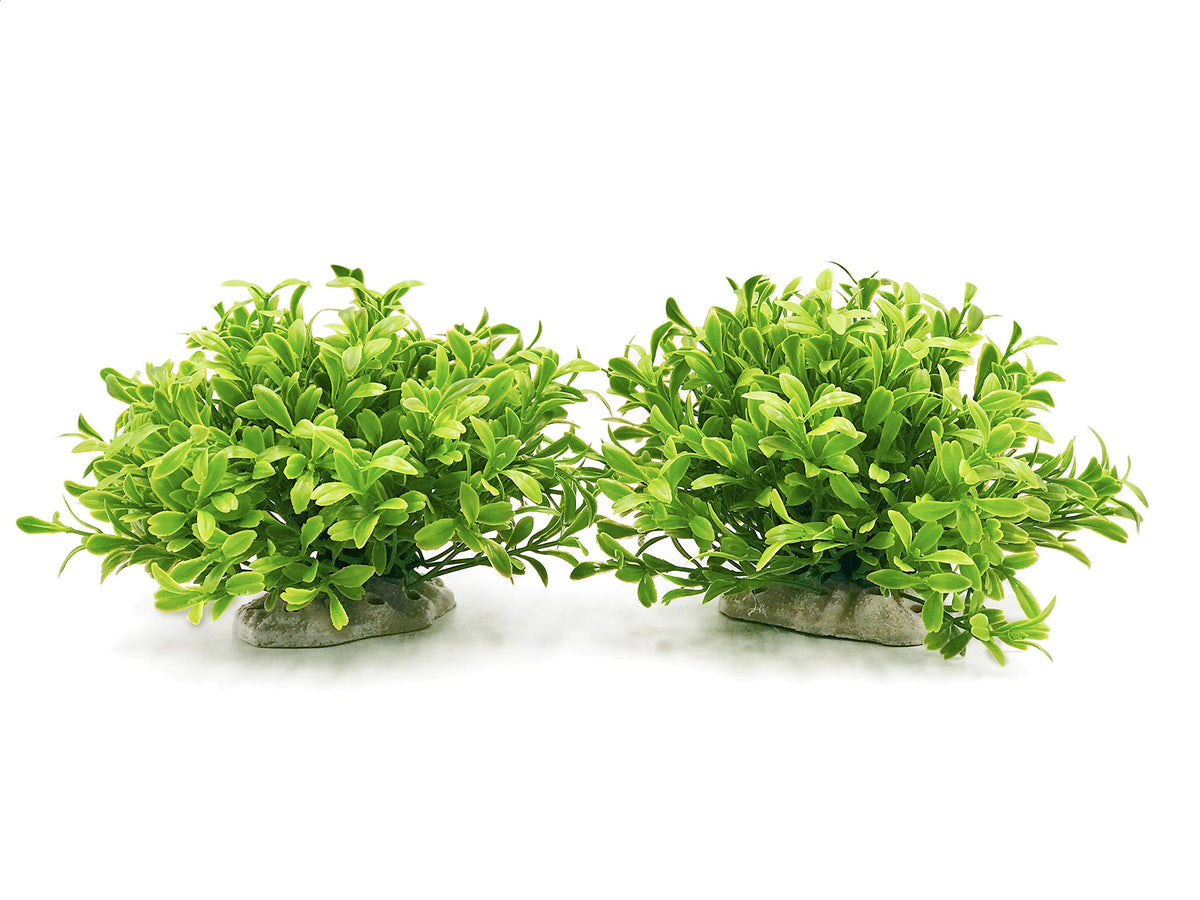 BEGONDIS plantas artificiales para acuario, hojas verdes, refugio para peces