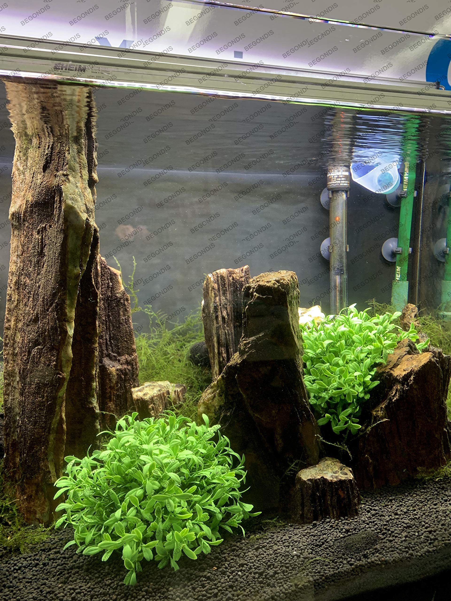BEGONDIS planta artificial para acuario, tamaño 5 cm alto, 13 cm largo, 10 cm ancho