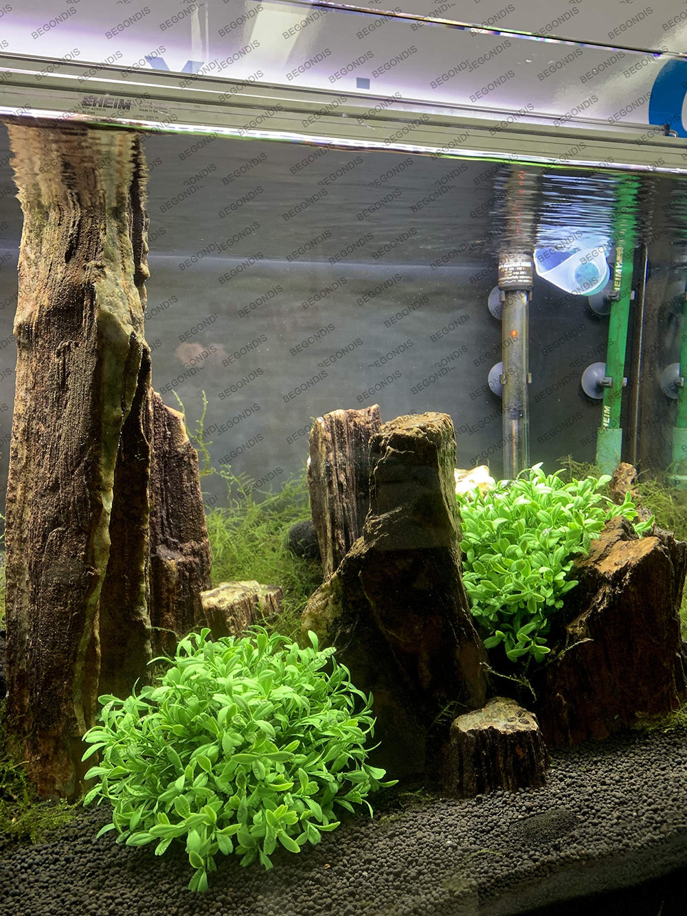 BEGONDIS planta artificial para acuario, tamaño 5 cm alto, 13 cm largo, 10 cm ancho