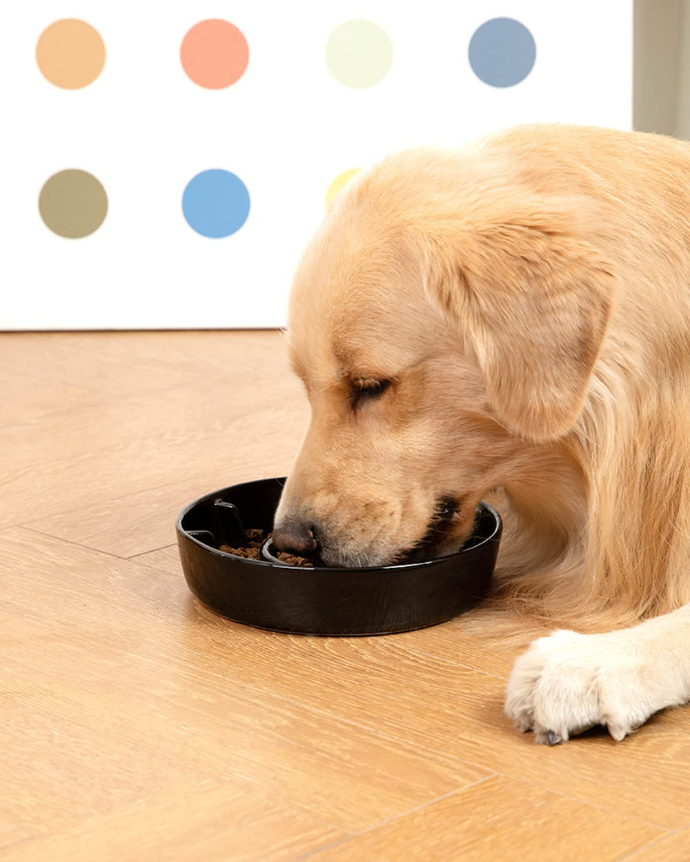 BEGUKO tazon ceramico anti-atragantamiento, ideal para perros que comen rapido.