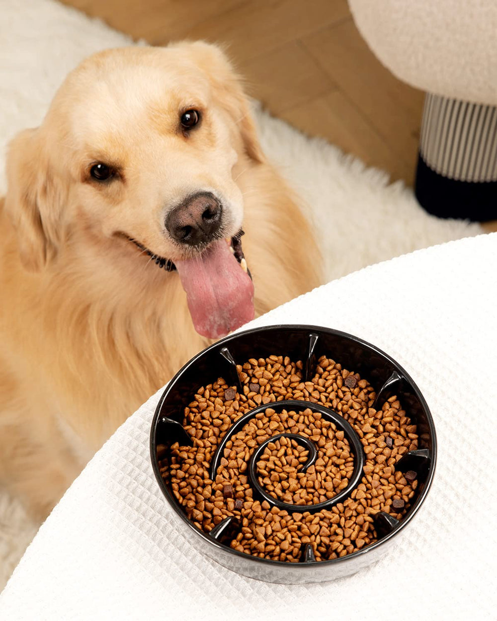 BEGUKO tazon ceramico puzzle interactivo para perros activos durante la comida.