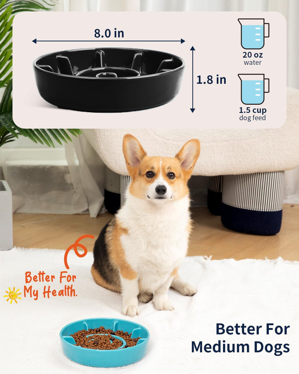 BEGUKO tazon ceramico duradero, apto para microondas para alimentar a tu perro.