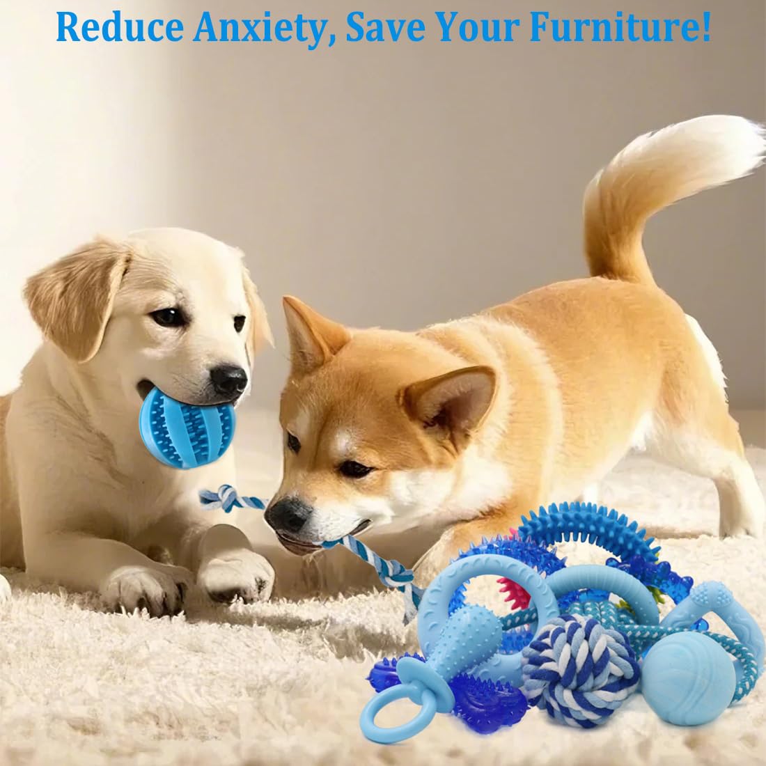 Beiker anillos de dentición azules para cachorros