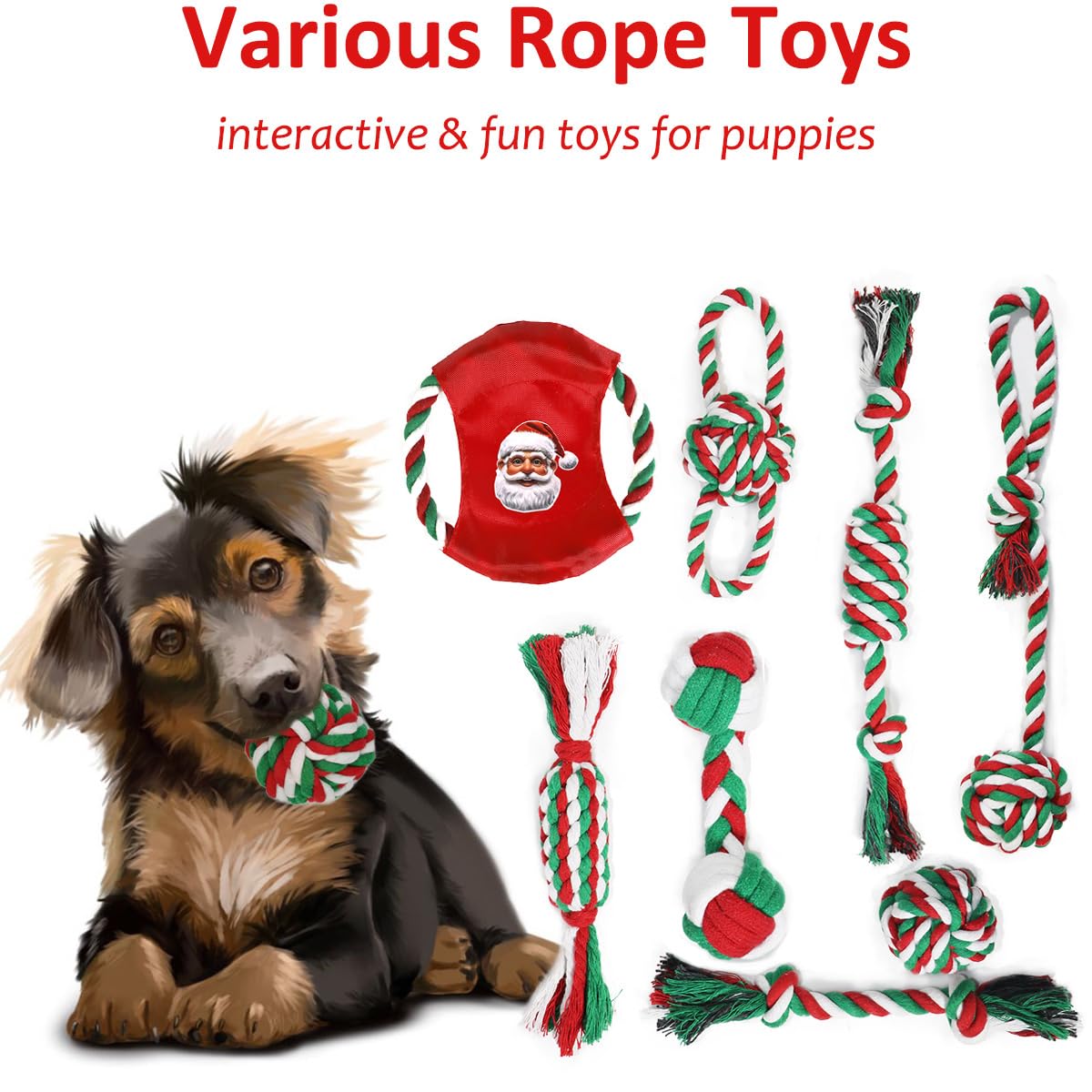 Beiker cuerda masticable para perros, ideal para sesiones de juego.