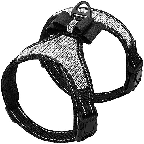 Beirui arnés para perros pequeños, vista frontal, cómodo para paseos diarios.