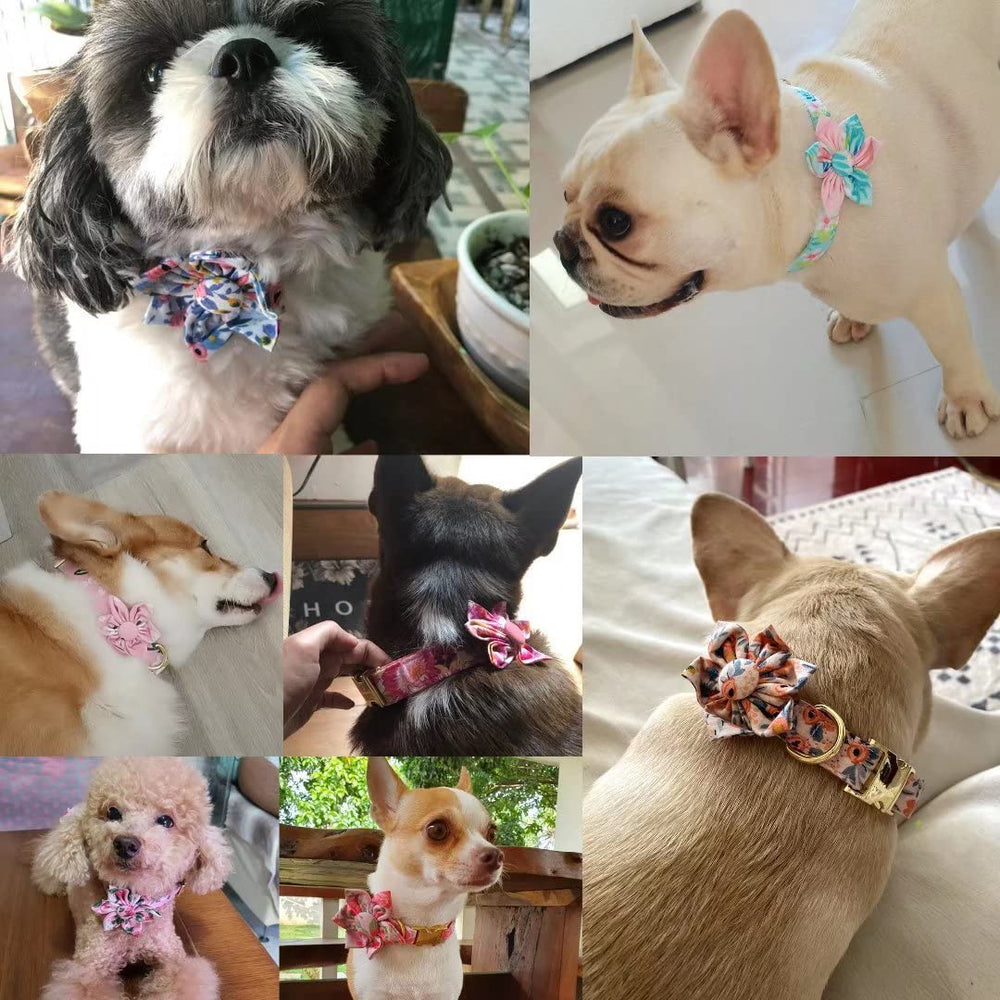 Beirui collar con costuras resistentes para juego diario