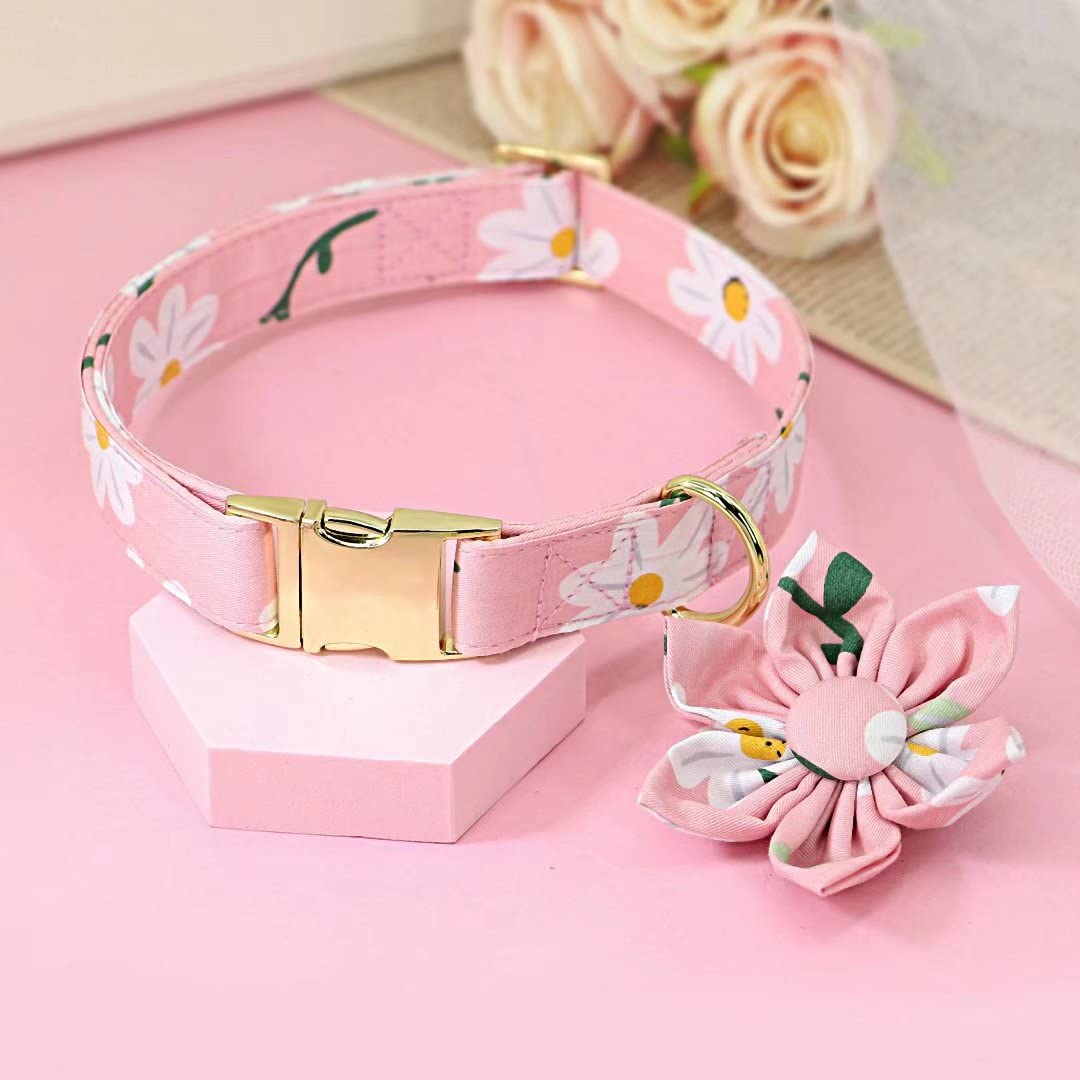 Beirui collar floral con diseños vibrantes para destacar en paseos.