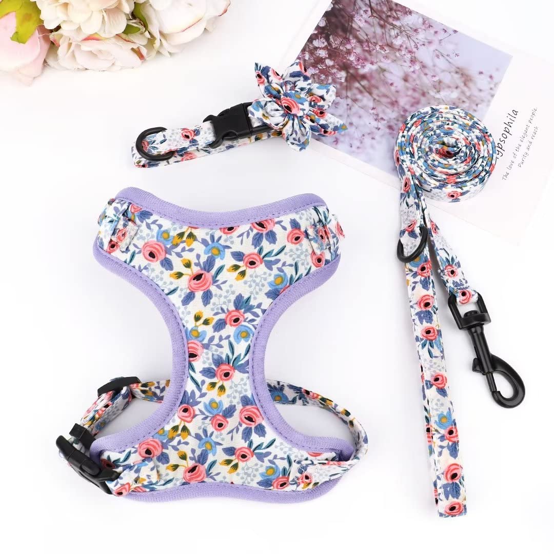 Conjunto Beirui completo con flor azul para perros pequeños.