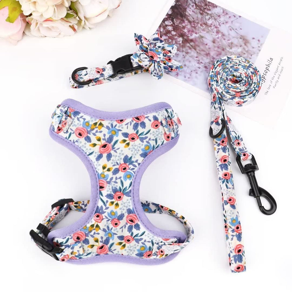 Conjunto Beirui completo con flor azul para perros pequeños.