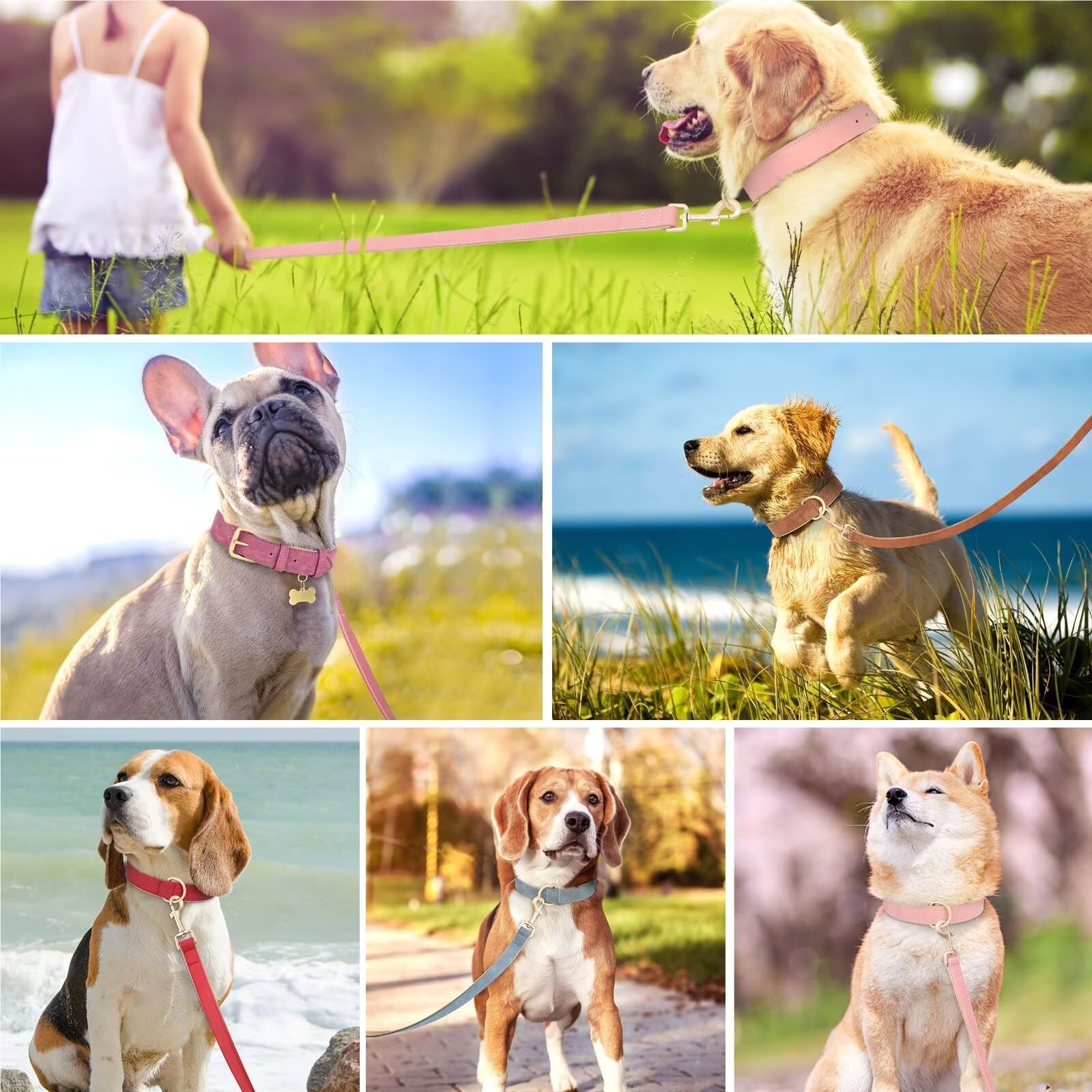 Beirui talla XL, collar para perros grandes como husky o Labrador