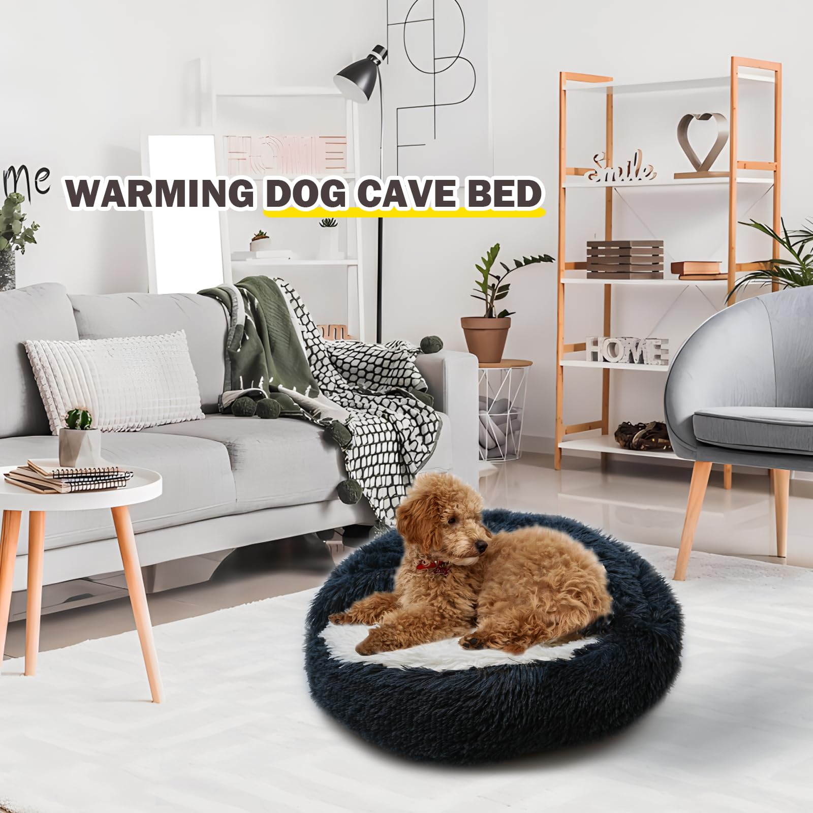 BELEEWILWON cama-gatos-uso-hogar, diseño decorativo y cómodo para casa.