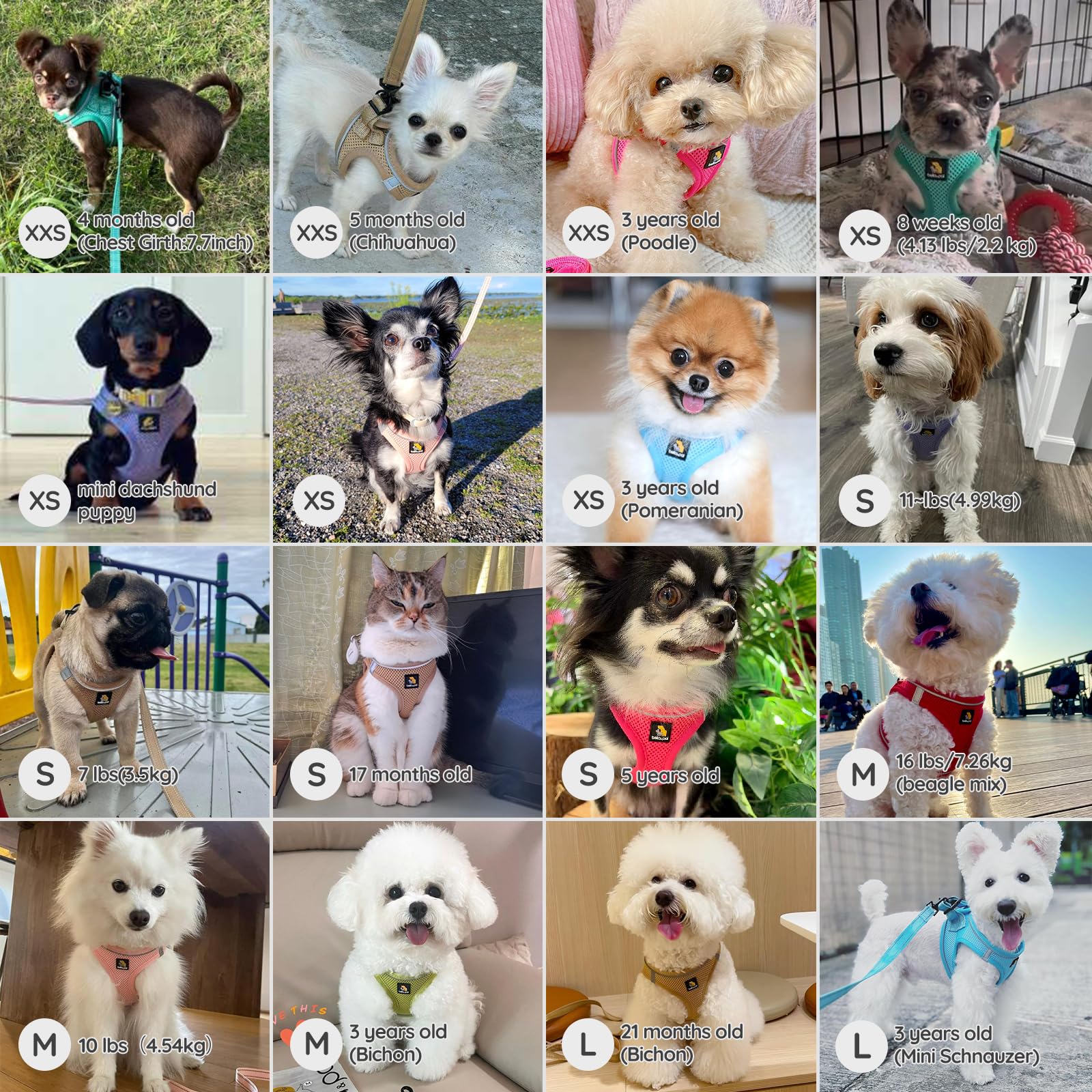 BELLA & PAL arnés ajustable con guía de tallas para perros pequeños y medianos