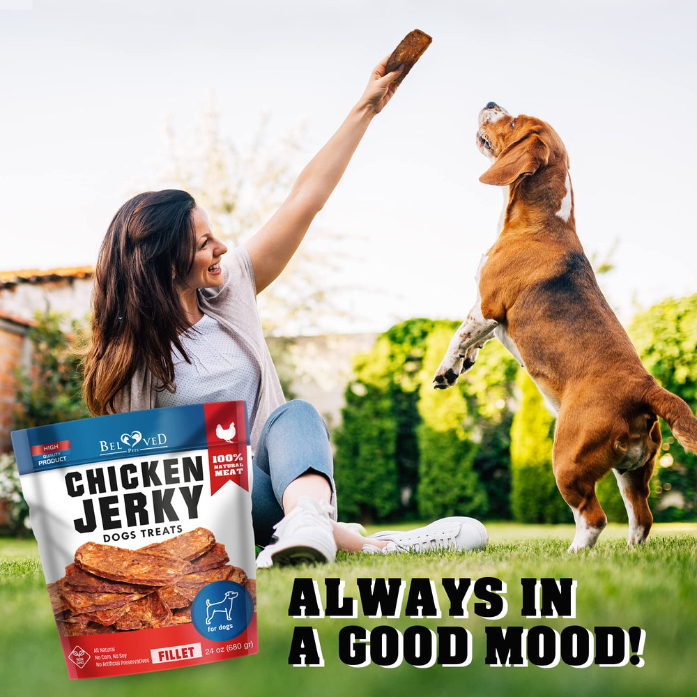 Beloved Pets bolsa portátil para snacks en paseos y viajes