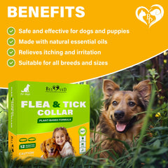 Collar Beloved Pets con aceites esenciales naturales para defensa suave.