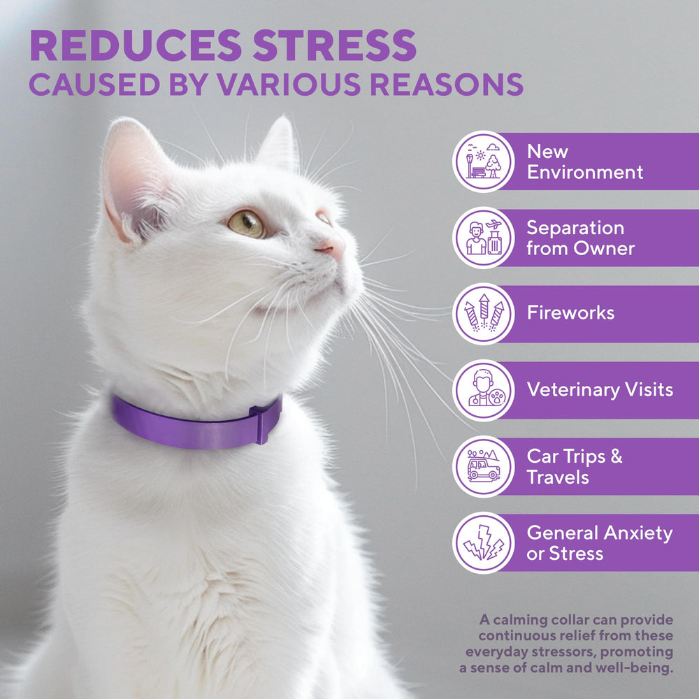 Difusor integrado del collar Beloved Pets para gato, uso diario