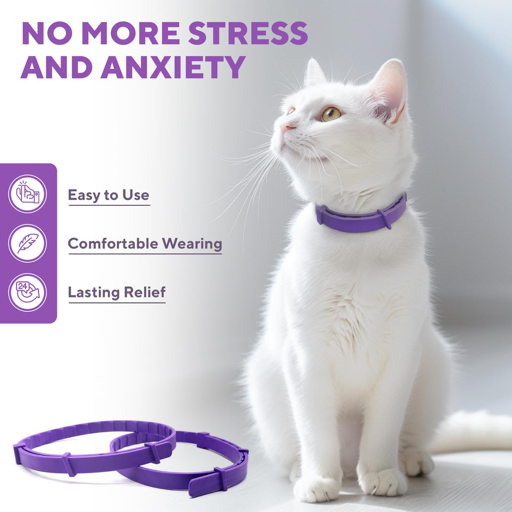 Collar Beloved Pets para uso en interiores y exteriores, convivencia estable