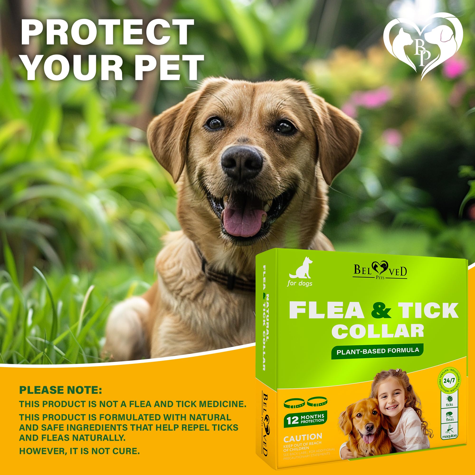 Collar duradero de polímero con fórmula natural para perros activos Beloved Pets.