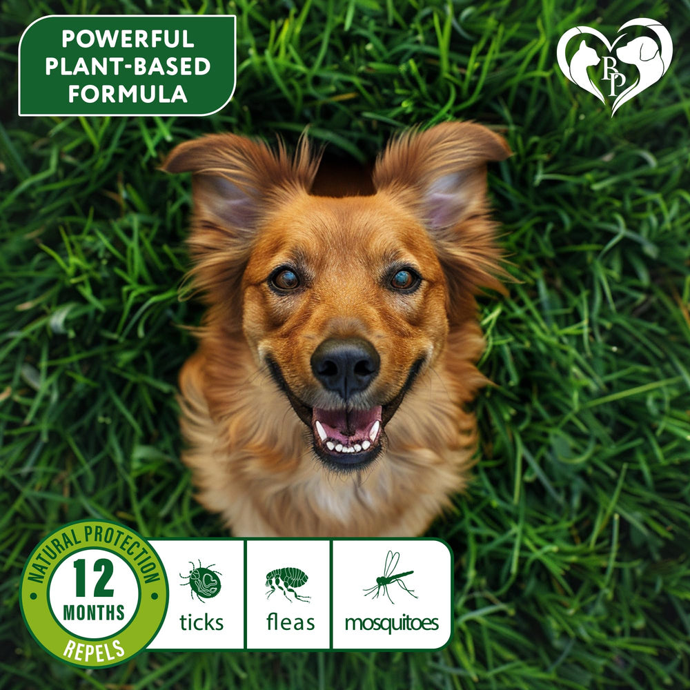 Protección de 6 meses con collar Beloved Pets para perros activos.