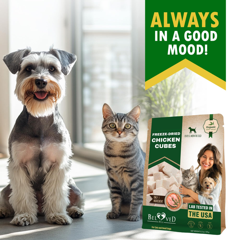 Beloved Pets cubos de pollo secos, perfecto para entrenar en casa y paseos.