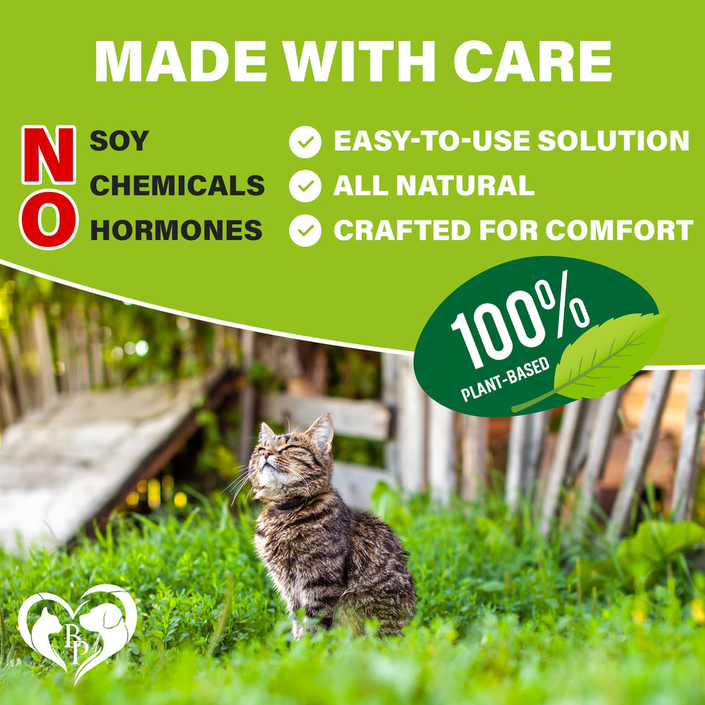 Beloved Pets fórmula avanzada USA, respaldo veterinario para prevención.